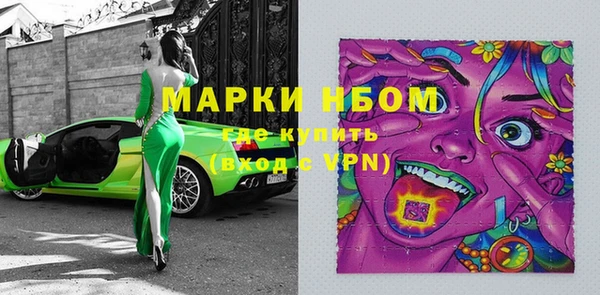 мдпв Вяземский