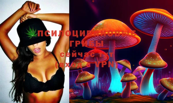 2c-b Верхний Тагил