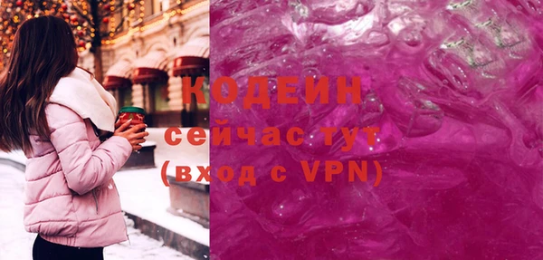 мдпв Вяземский