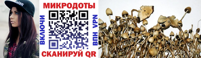 Псилоцибиновые грибы Psilocybe  Верхний Уфалей 